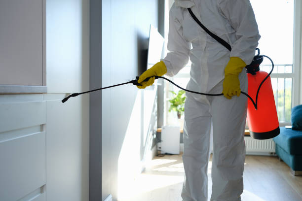 Best Black Mold Removal  in Leisure World, MD