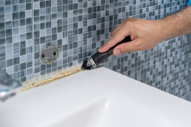 Best Certified Mold Removal  in Leisure World, MD