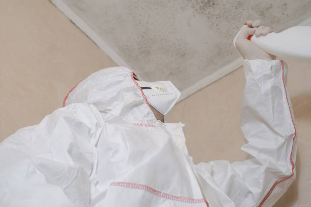 Certified Mold Removal in Leisure World, MD